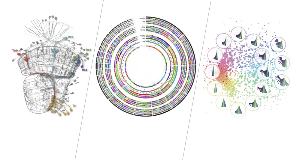 Welcome to the International Max Planck Research School - Biological Intelligence (IMPRS-BI)